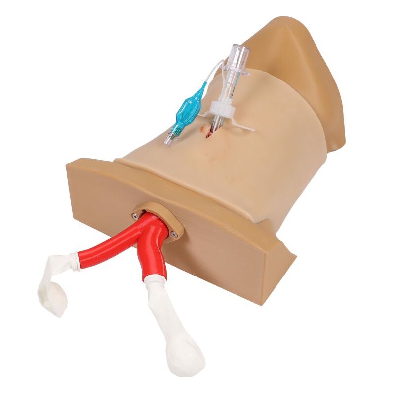 Crico Chris | Koniotomie Task Trainer